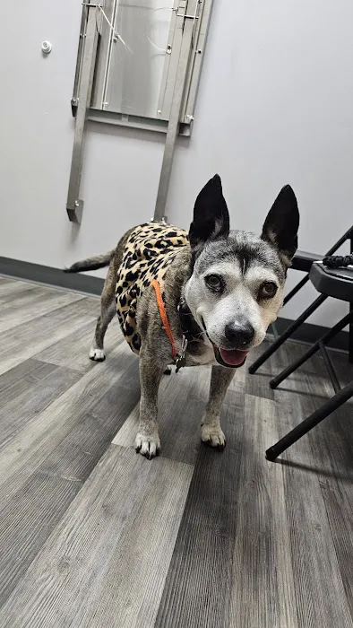 My Pet's Vet Wilderness Oaks Picture 2