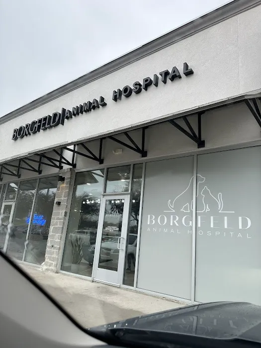 Borgfeld Animal Hospital Picture 4