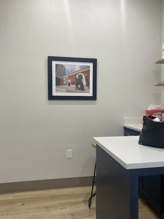 Borgfeld Animal Hospital Picture 8