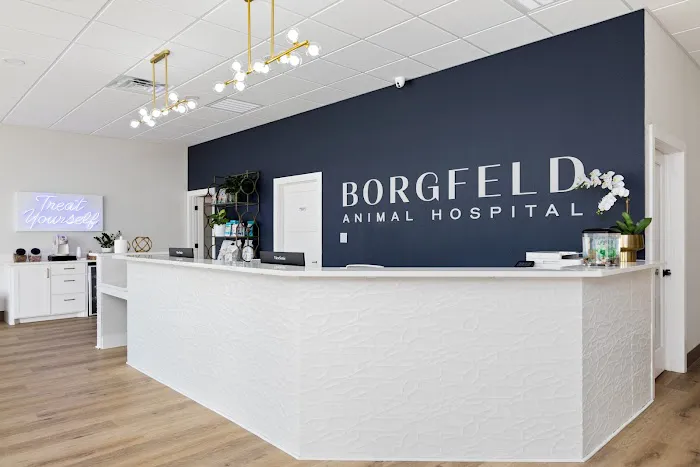 Borgfeld Animal Hospital Picture 7