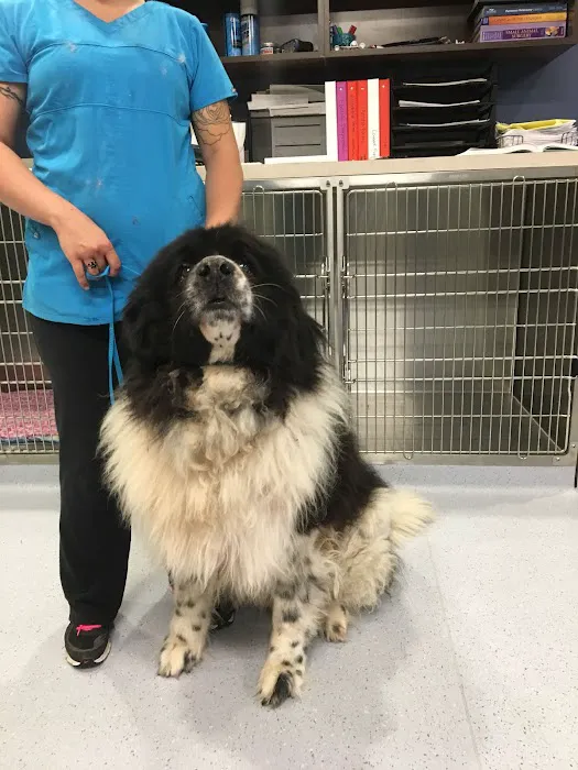 Noble West Animal Hospital Picture 3