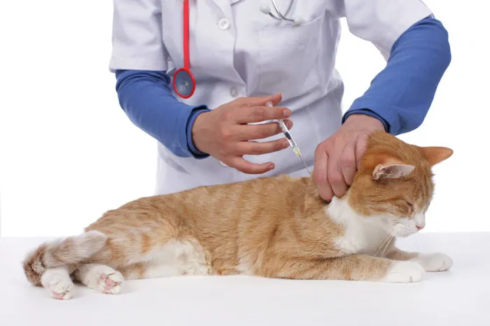 Noble West Animal Hospital Picture 4