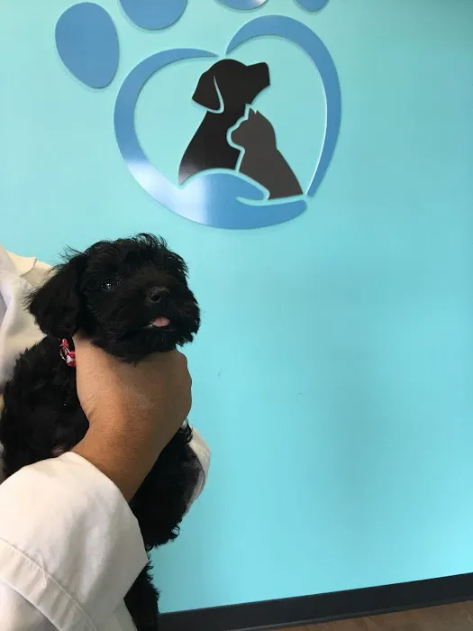 Noble West Animal Hospital Picture 10