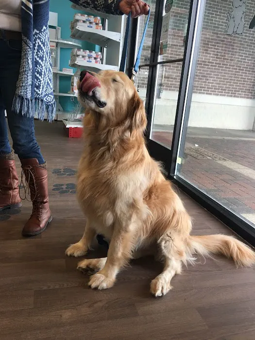 Noble West Animal Hospital Picture 6