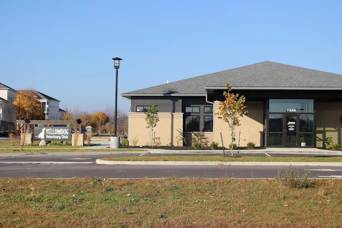 Yellow Dog Veterinary Clinic Picture 9