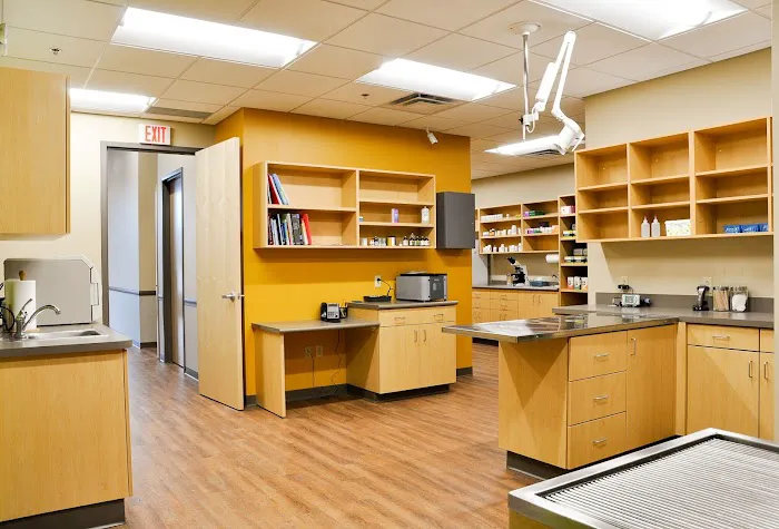 Yellow Dog Veterinary Clinic Picture 6