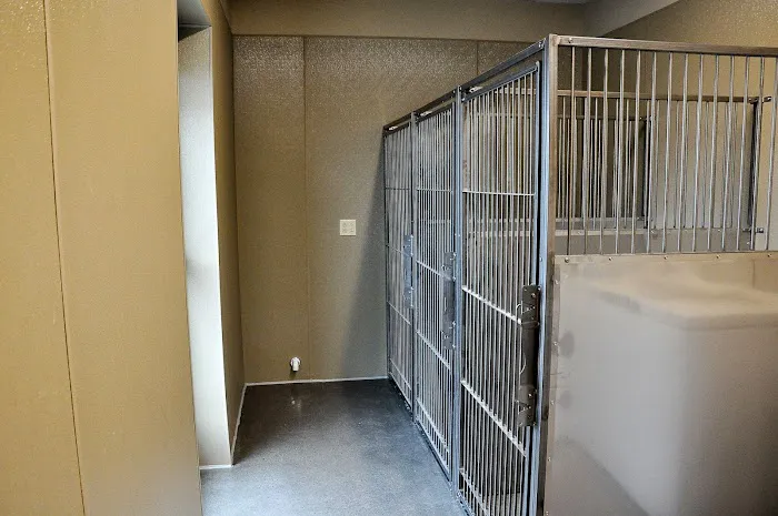 Yellow Dog Veterinary Clinic Picture 3