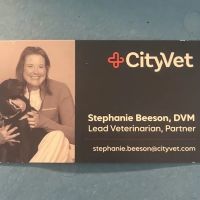 CityVet | Carmel ico