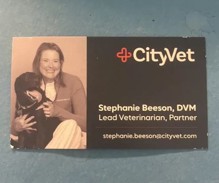 CityVet | Carmel