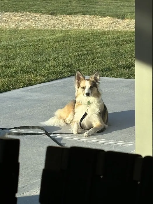 CityVet | Carmel Picture 2