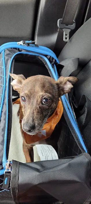 Banfield Pet Hospital Picture 5