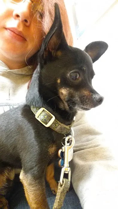 Banfield Pet Hospital Picture 6