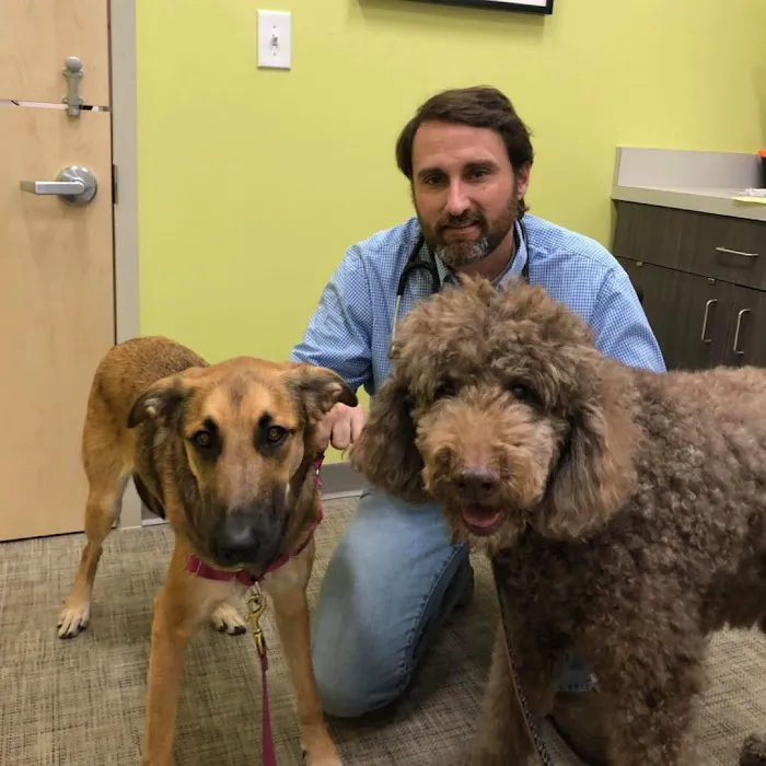 Clayton Family Veterinary Care Picture 9