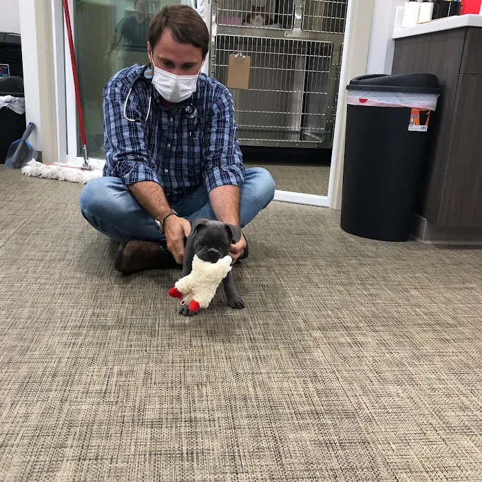 Clayton Family Veterinary Care Picture 10