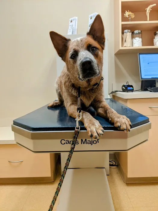 Noblesville Pet Wellness Clinic Picture 2