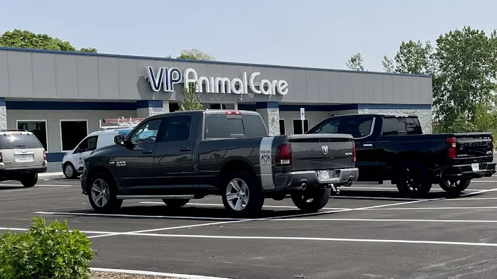 VIP Animal Care Picture 8