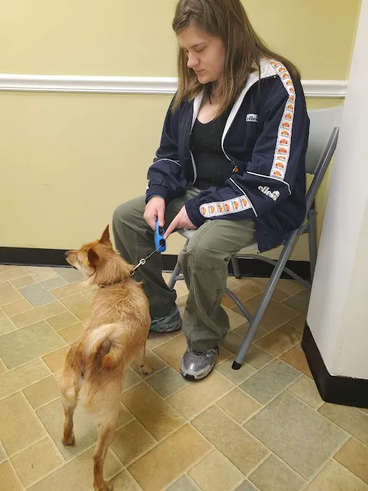VIP Animal Care Picture 3