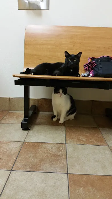 Banfield Pet Hospital Picture 1