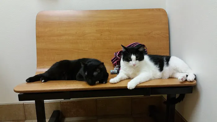 Banfield Pet Hospital Picture 2