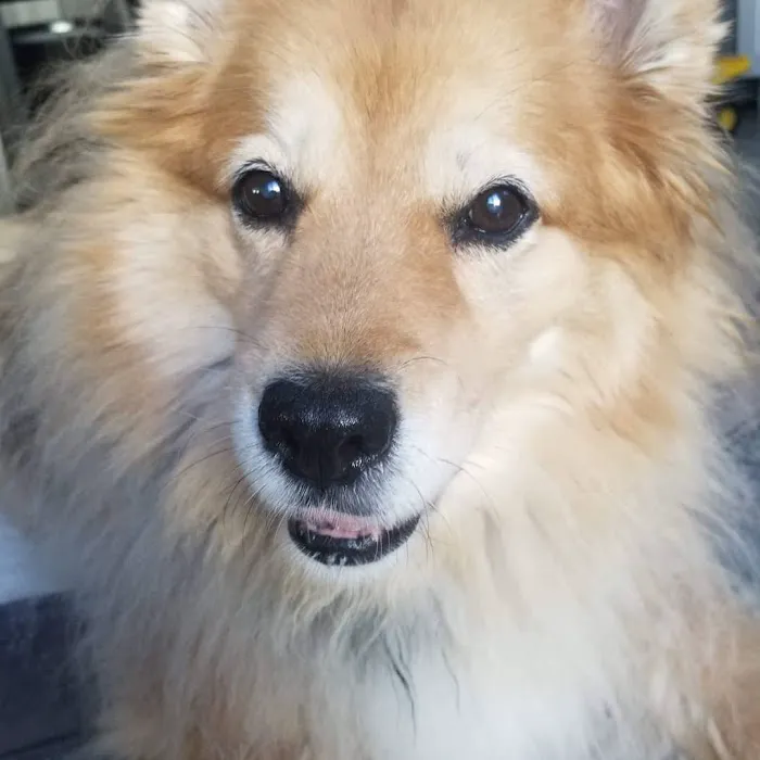 Banfield Pet Hospital Picture 6
