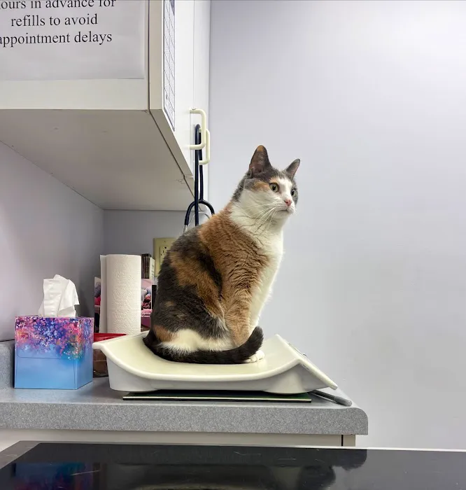 Hamilton Hills Animal Hospital Inc Picture 1