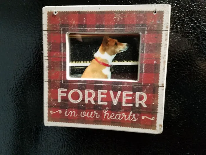 Hamilton Hills Animal Hospital Inc Picture 7