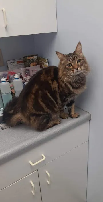 Hamilton Hills Animal Hospital Inc Picture 6