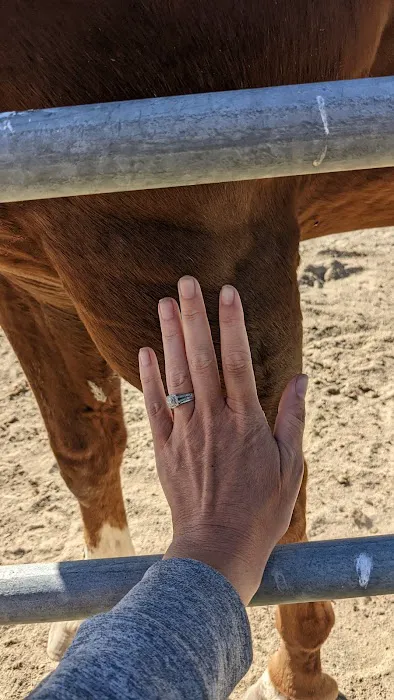 Midwest Equine & Vet Hospital Picture 2