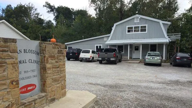 Bean Blossom Animal Clinic Picture 1