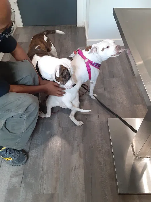 Bean Blossom Animal Clinic Picture 7
