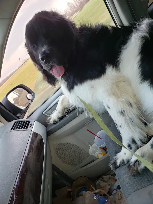 Bean Blossom Animal Clinic Picture 8