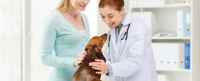 Bean Blossom Animal Clinic Picture 4