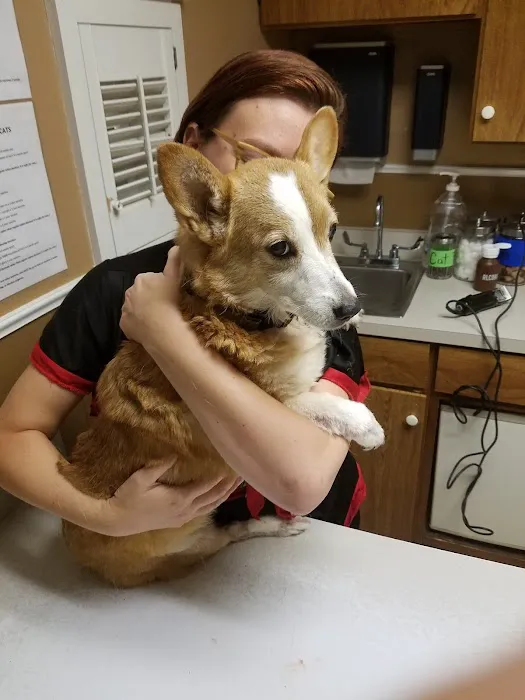 Arlington Heights Veterinary Hospital - North Picture 5