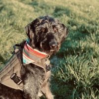 Spencer Town & Country Veterinary Clinic ico
