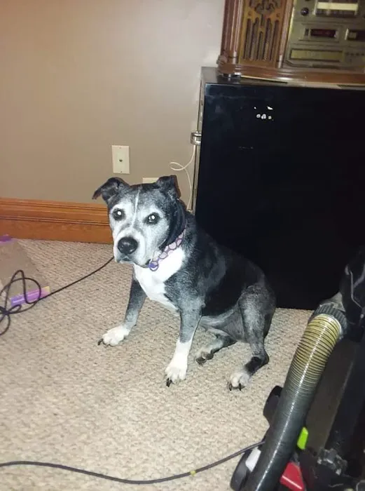 Jackman's Animal Clinic Picture 2
