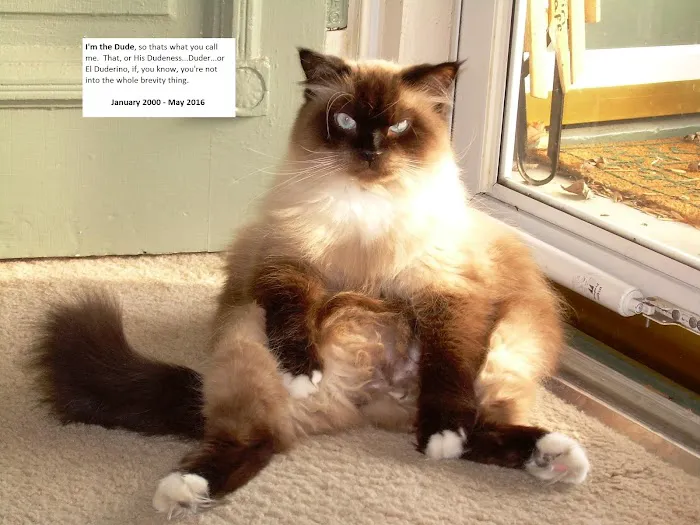 Jackman's Animal Clinic Picture 8