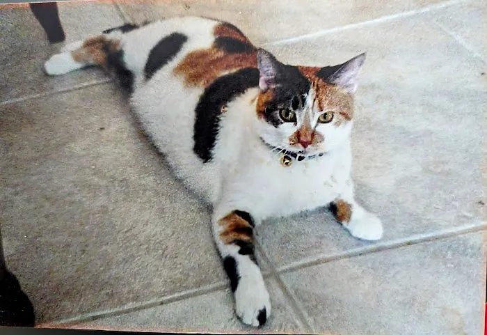 Greensburg Veterinary Clinic Picture 9