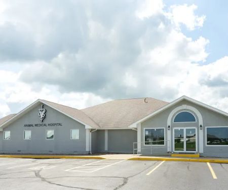 Animal Medical Hospital LLP