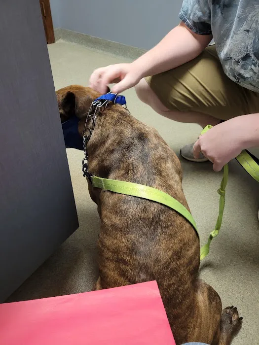 Animal Medical Hospital LLP Picture 7