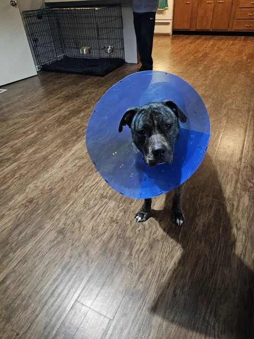 Hope Veterinary Clinic: East Picture 2