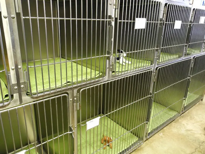 Northside Hope Veterinary Clinic Picture 10
