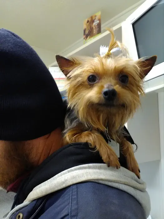 Chesterfield Animal Hospital Picture 6
