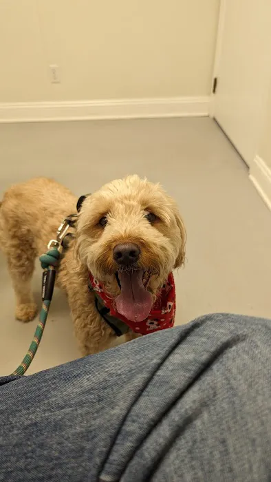 Chesterfield Animal Hospital Picture 8