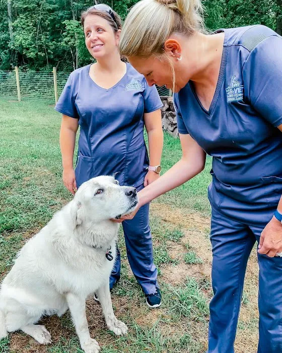 Cor-Vet Veterinary Clinic Fortville Picture 8