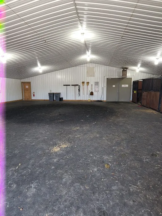King Veterinary Services Picture 8