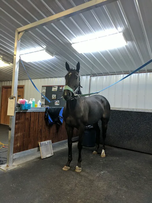 King Veterinary Services Picture 2