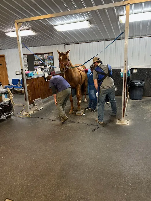 King Veterinary Services Picture 5