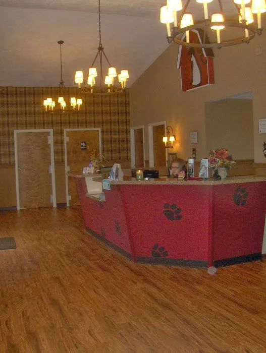 Country Critters Veterinary Hospital Picture 4