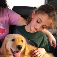 Country Critters Veterinary Hospital ico