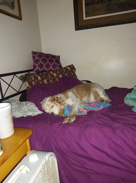 Broadway Veterinary Clinic Picture 2